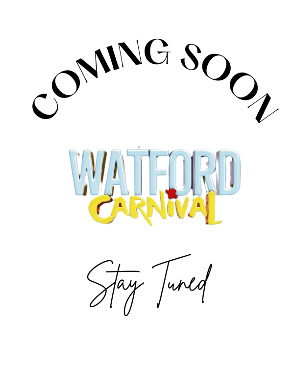 Grey Modern Coming Soon New Collection Flyer (2)